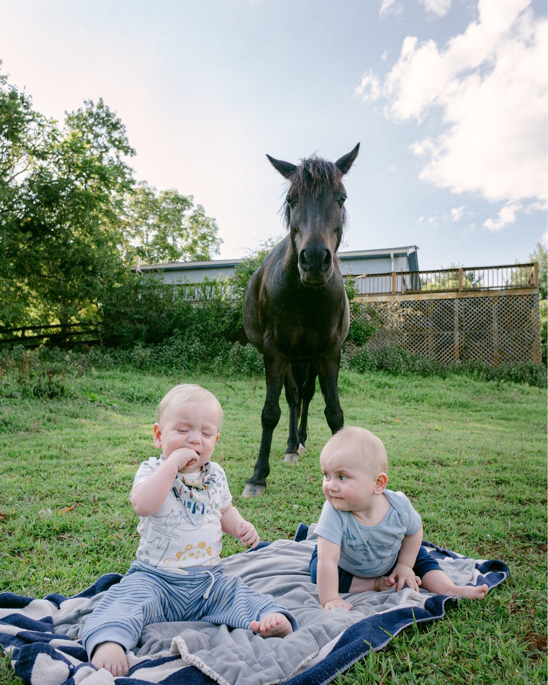 Formally introducing the boys to the pony. "Bewildered" would be a good description for everyone involved. Pony has only seen them in their stroller, so he was quite confused that they actually come out. I'm pretty sure he thought they were actually part of the stroller. Meanwhile, the boys were trying to figure out why I am making them sit in a field. Well boys, it's hard to carry two 20lb lumps at once.

Here's hoping these little boys grow up to be horsemen! Of course, knowing how guys are, they'll probably ride like three times and then be able to go to the Olympics. Has anyone else noticed how weirdly good guys are at riding?? If a guy takes riding seriously, they are pretty much experts almost immediately. Meanwhile, no matter how long I ride, I will always be at 2'6". Someone explain this to me. Just kidding, don't actually, I'm not ready to confront my own fear. I'm sure one of the boys can give me lessons in a few years.

#horselife #equestrian #horsemom #horsesofinstagram #ponylife #ponyrider #leadline #equestrianlife #countryside #countrylife #momlife