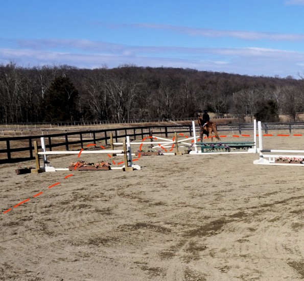 horse jumping grid