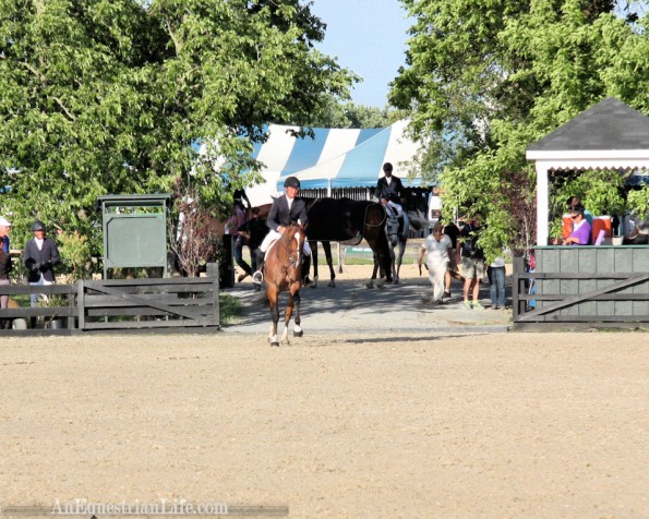 Entered at a canter, and immediately headed to the first jump.