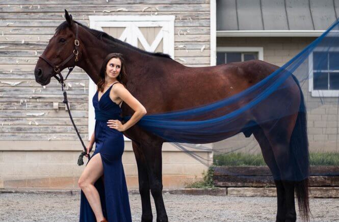 dramatic tulle horse