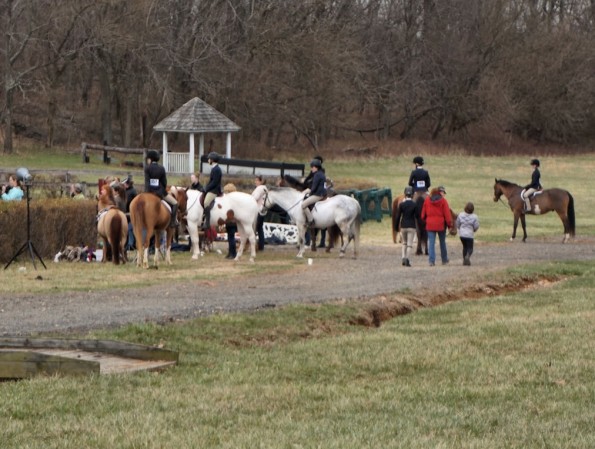 Invasion of the ponies. Cutest infestation ever.