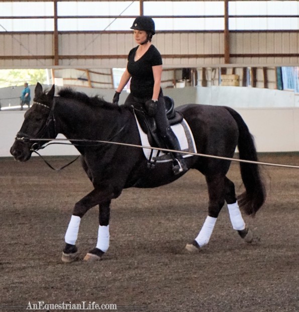 Vertical position at a canter.