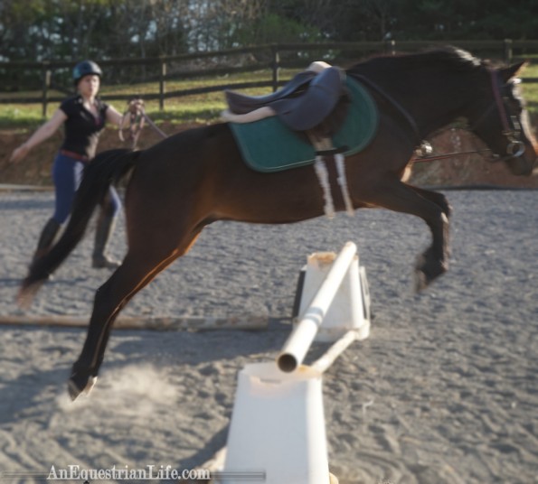 lunging over a jump