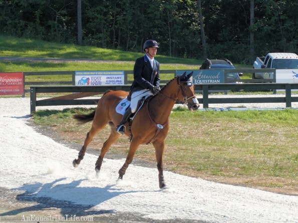 Phillip Dutton on Fernhill Fugitive comes cantering from warmup all the way into the arena. Nice entrance!