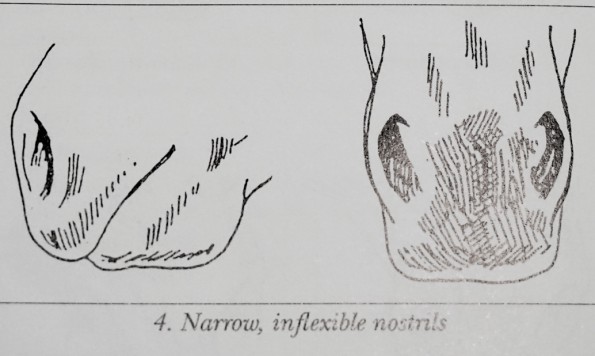 narrownostrils