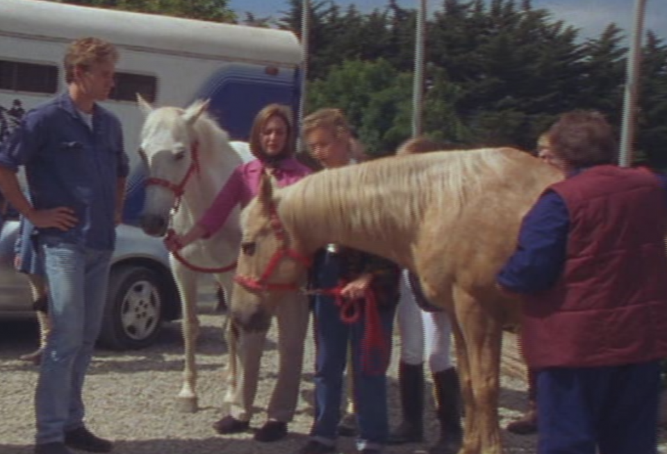 The Saddle Club Movie Horse Crazy Overview An Equestrian Life