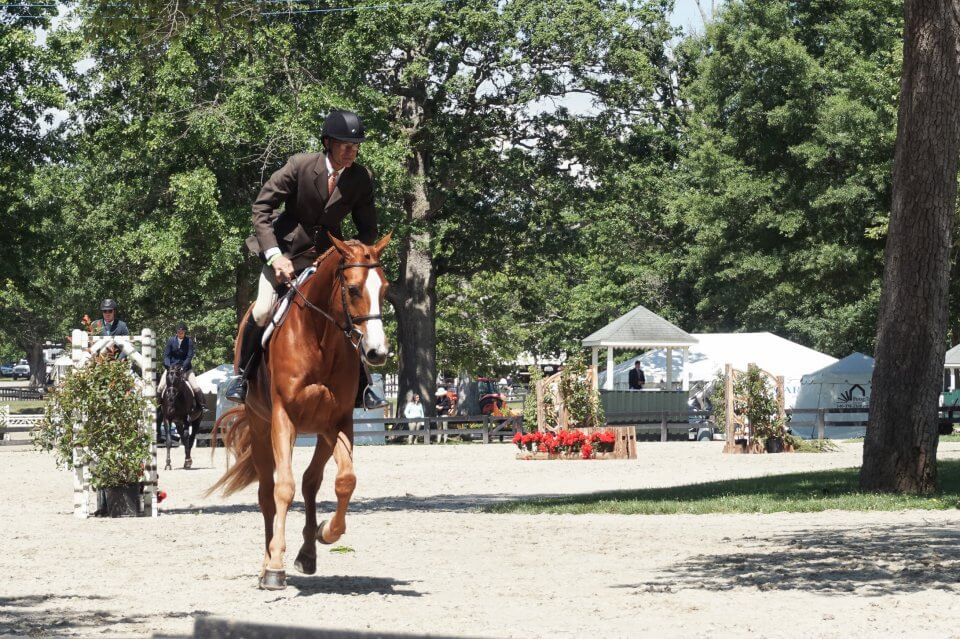 SafeSport in USEF An Equestrian Life