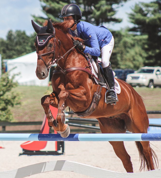 Great Meadow International 2019 Show Jumping An Equestrian Life