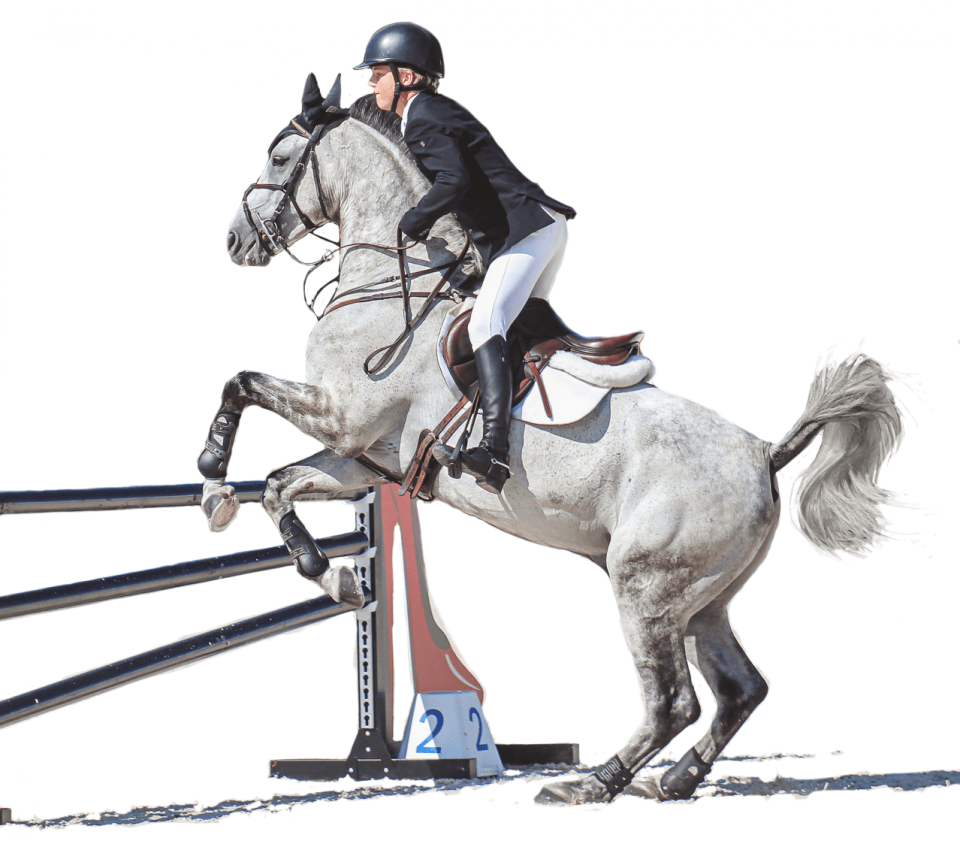 Great Meadow International 2019 Show Jumping An Equestrian Life