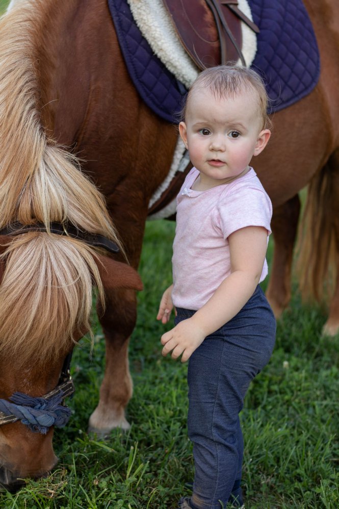 Baby Riding Roster Baby's First Pony Ride - An Equestrian Life