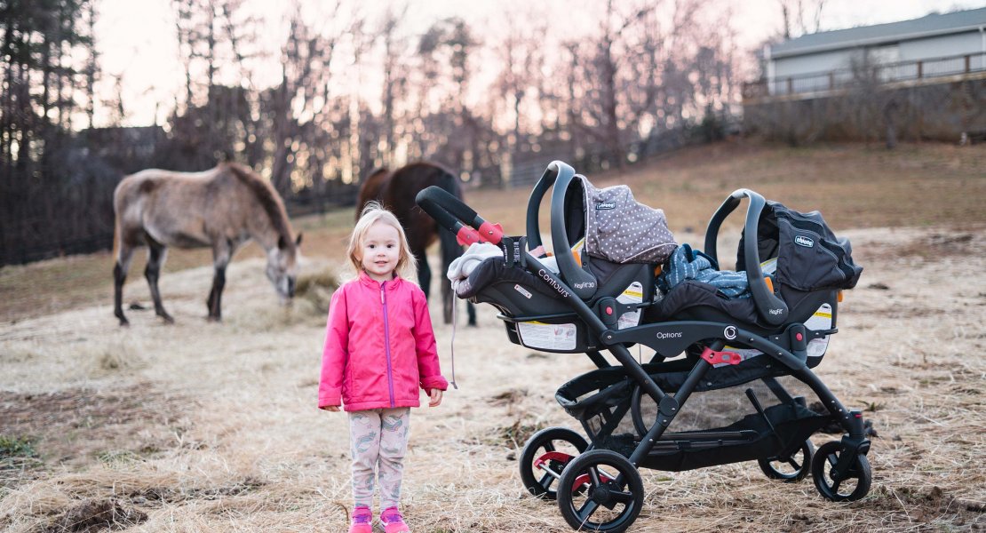 toddler and twin baby stroller in horse field
