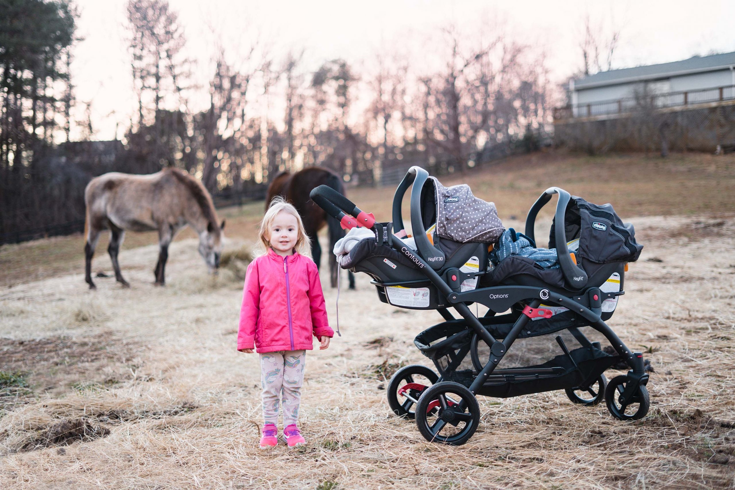 toddler and twin baby stroller in horse field