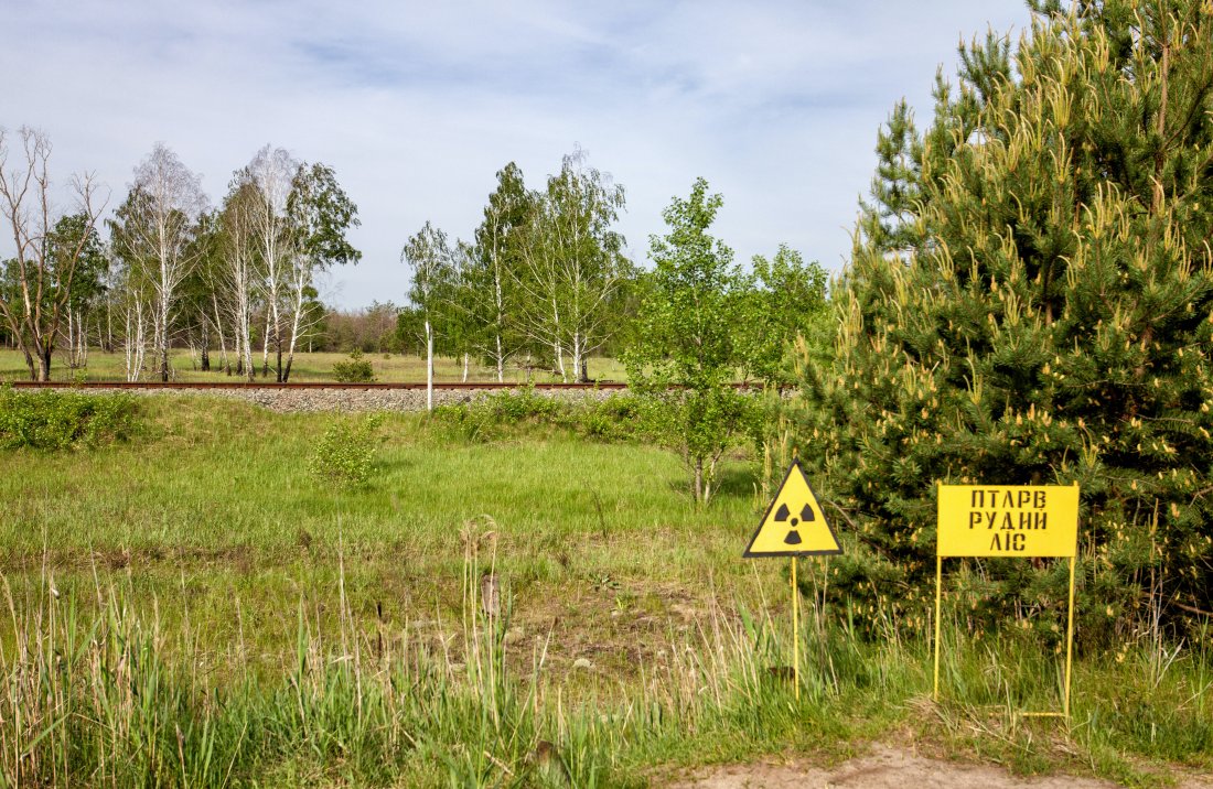 radiation signs in front of a field that is being taken back by trees