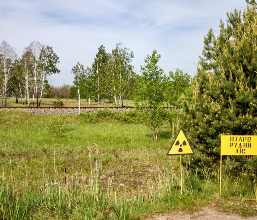 radiation signs in front of a field that is being taken back by trees