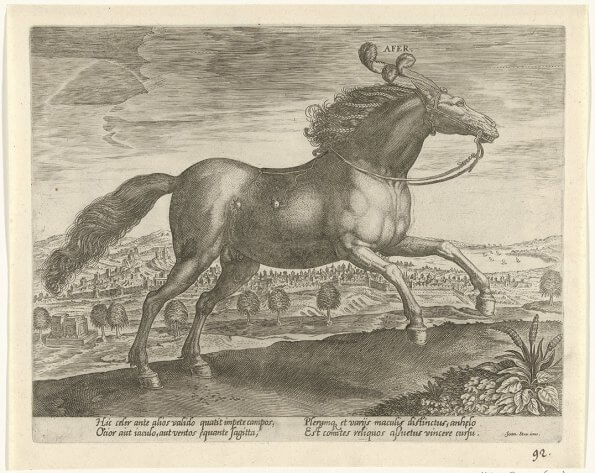 print from 16th century of horse galloping