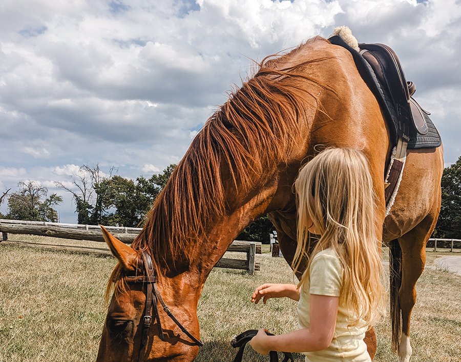 girl holding reins of horse