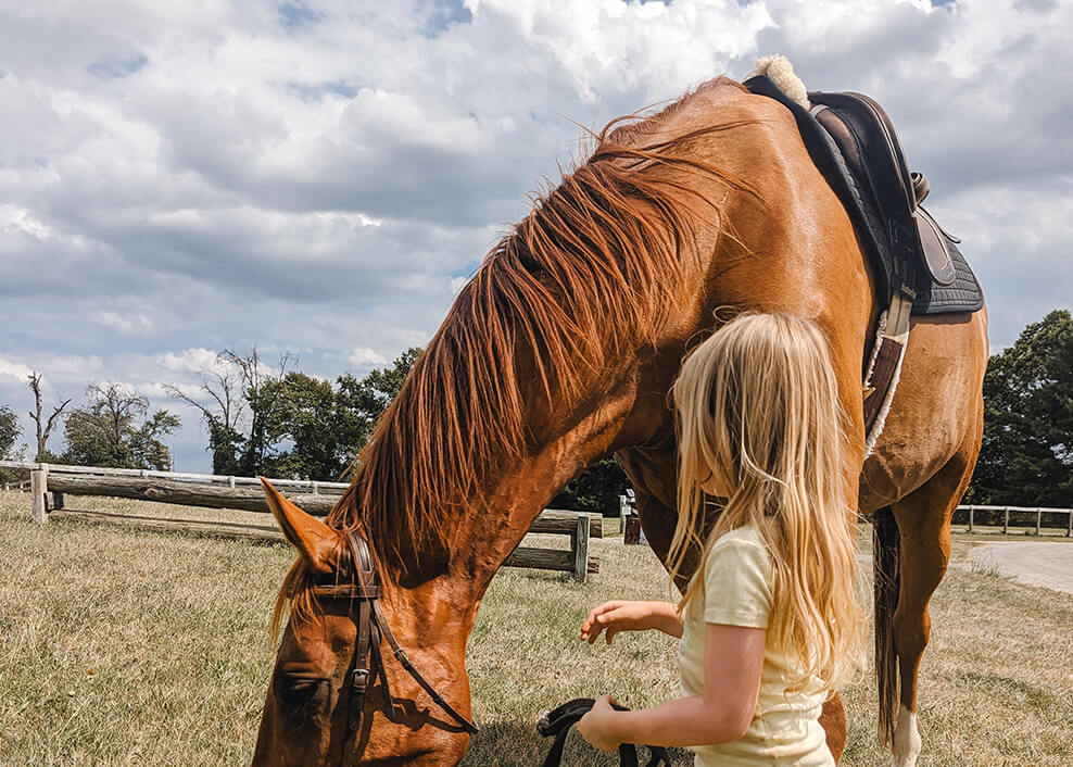 girl holding reins of horse