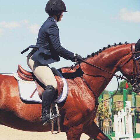 A Guide to English Riding Show Jackets - An Equestrian Life
