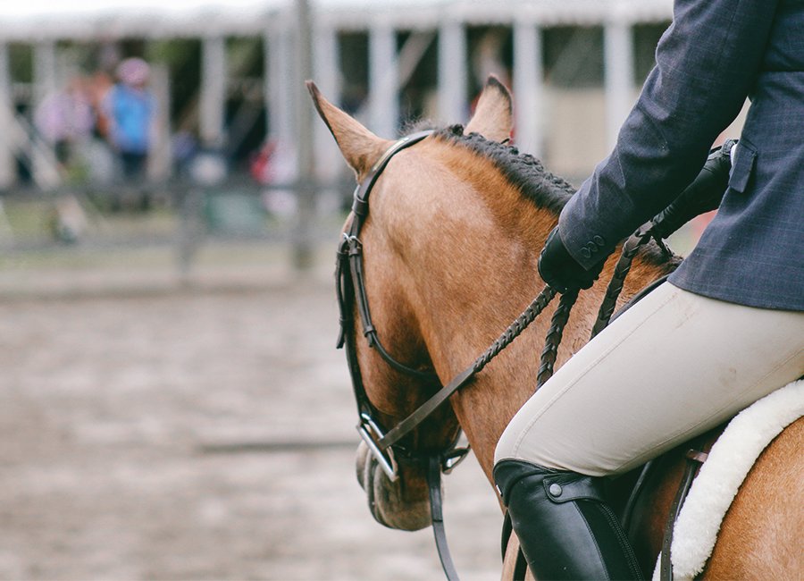back view of a mounted hunter rider and horse