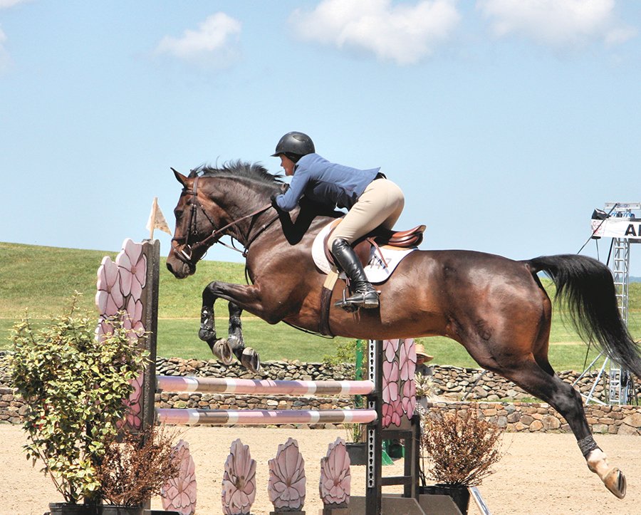 horse jumping over flower jump
