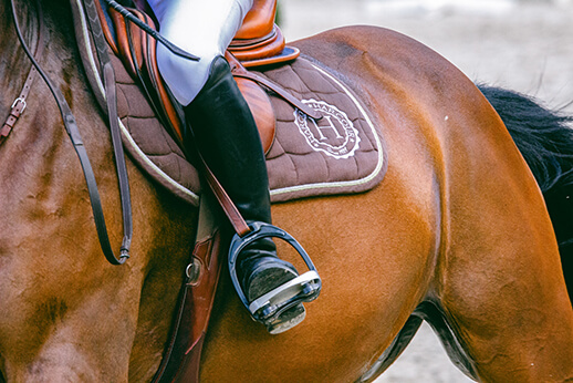 close up of rider's leg with saddle, saddle pad stirrups