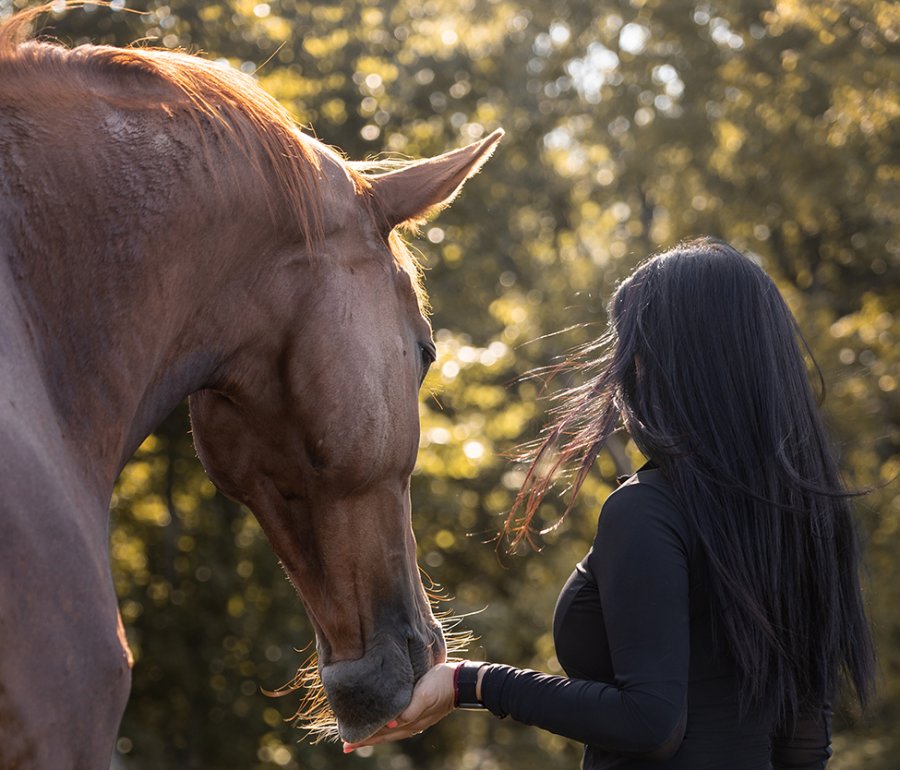 woman and horse in the sunlight