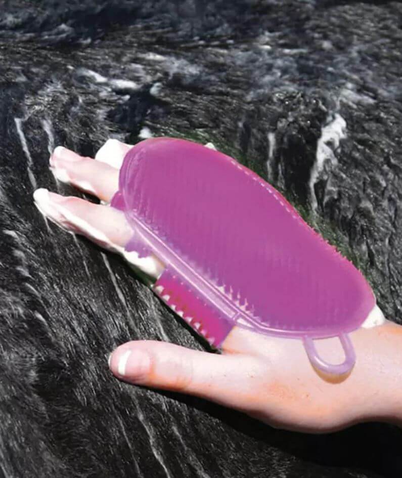 horse scrubber on hand
