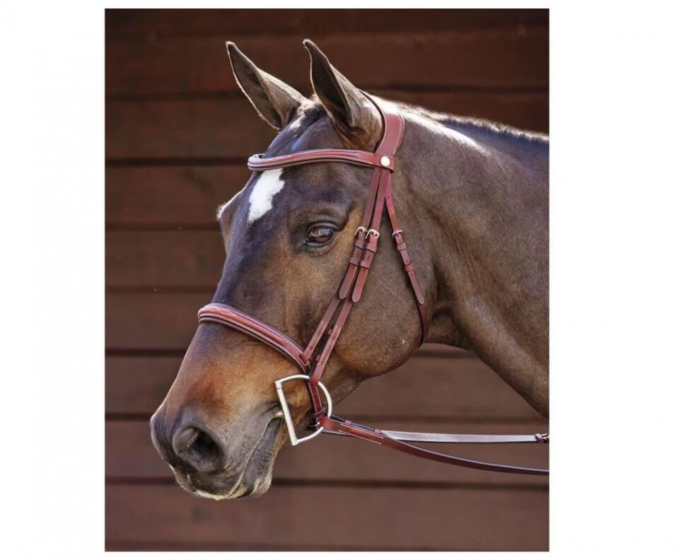 headshot of horse wearing a hunter bridle