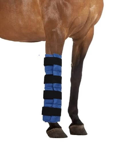 ice wrap for horses