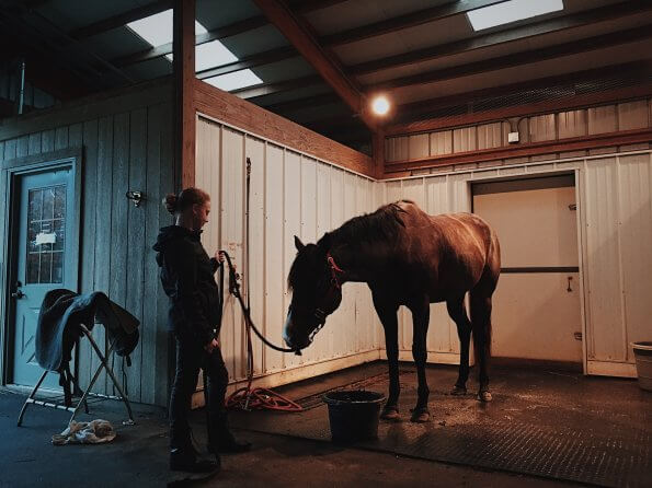 woman with horse in wash stall