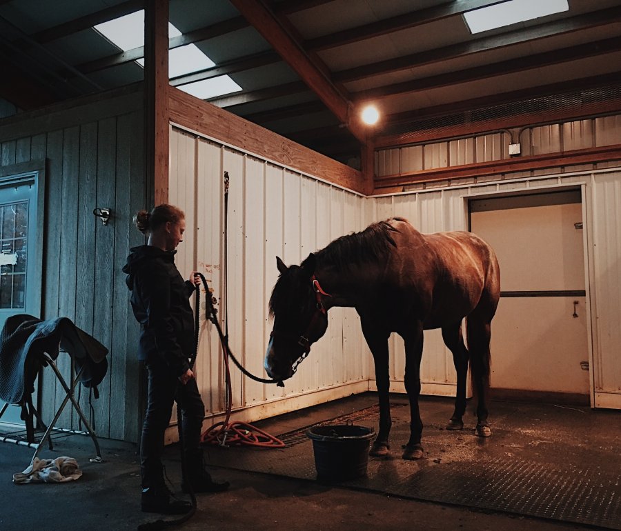 woman with horse in wash stall