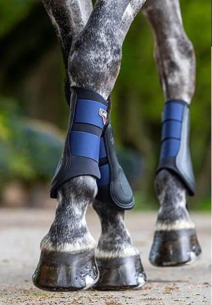 gray horse's legs with brushing boots