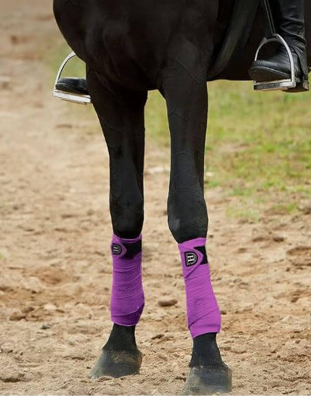 purple polo wraps on a dark horse
