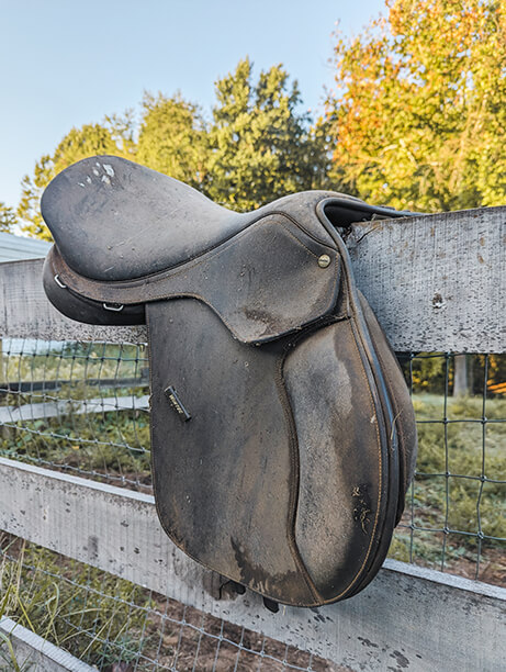 dirty neglected wintec close contact saddle on a fence