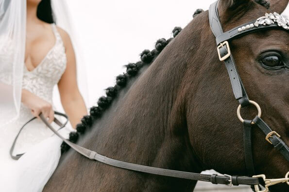 close up of horse being ridden by a bride