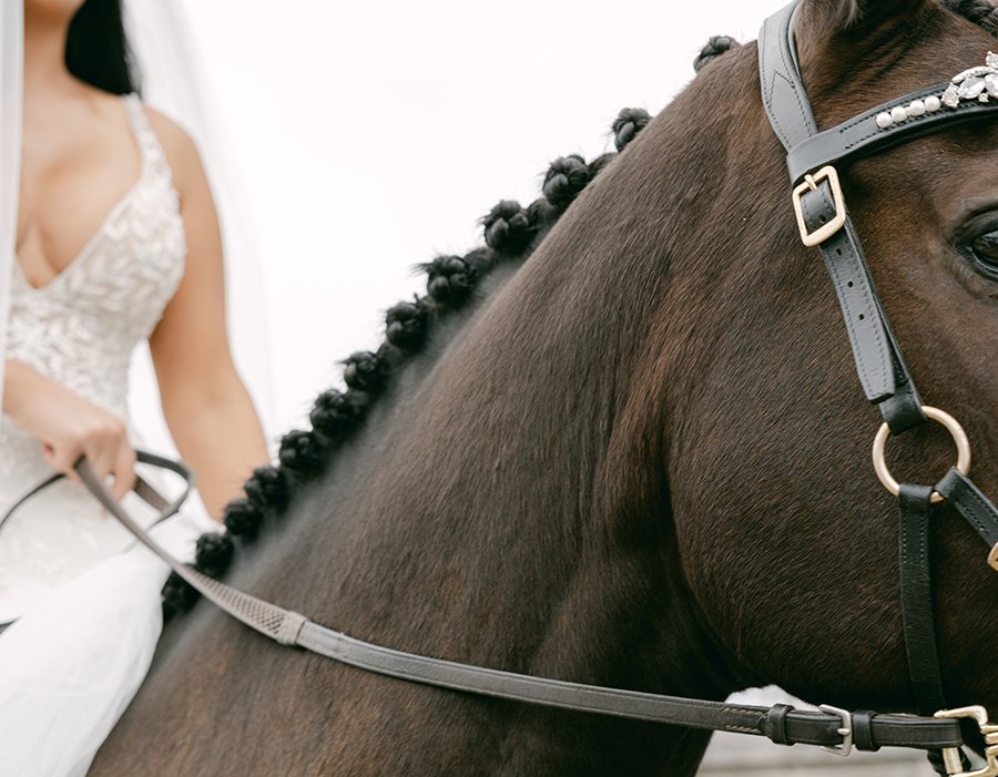 close up of horse being ridden by a bride