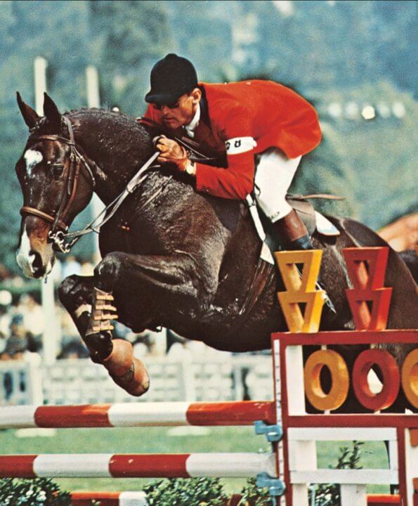 Snowbound dark bay horse competing at the Olympics
