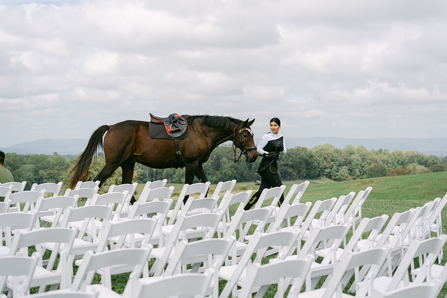 showing the horse the wedding set up before the big day