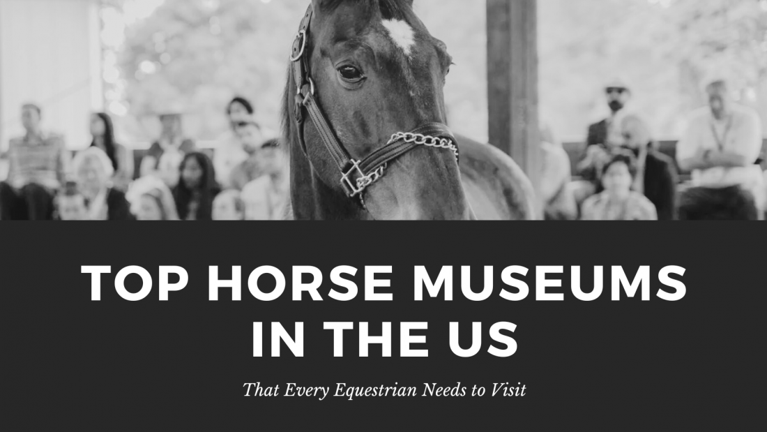 top horse museums in the US that every equestrian needs to visit banner