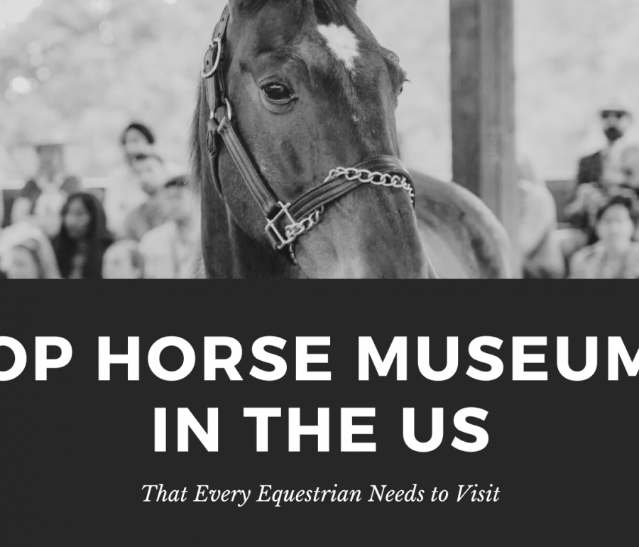 top horse museums in the US that every equestrian needs to visit banner