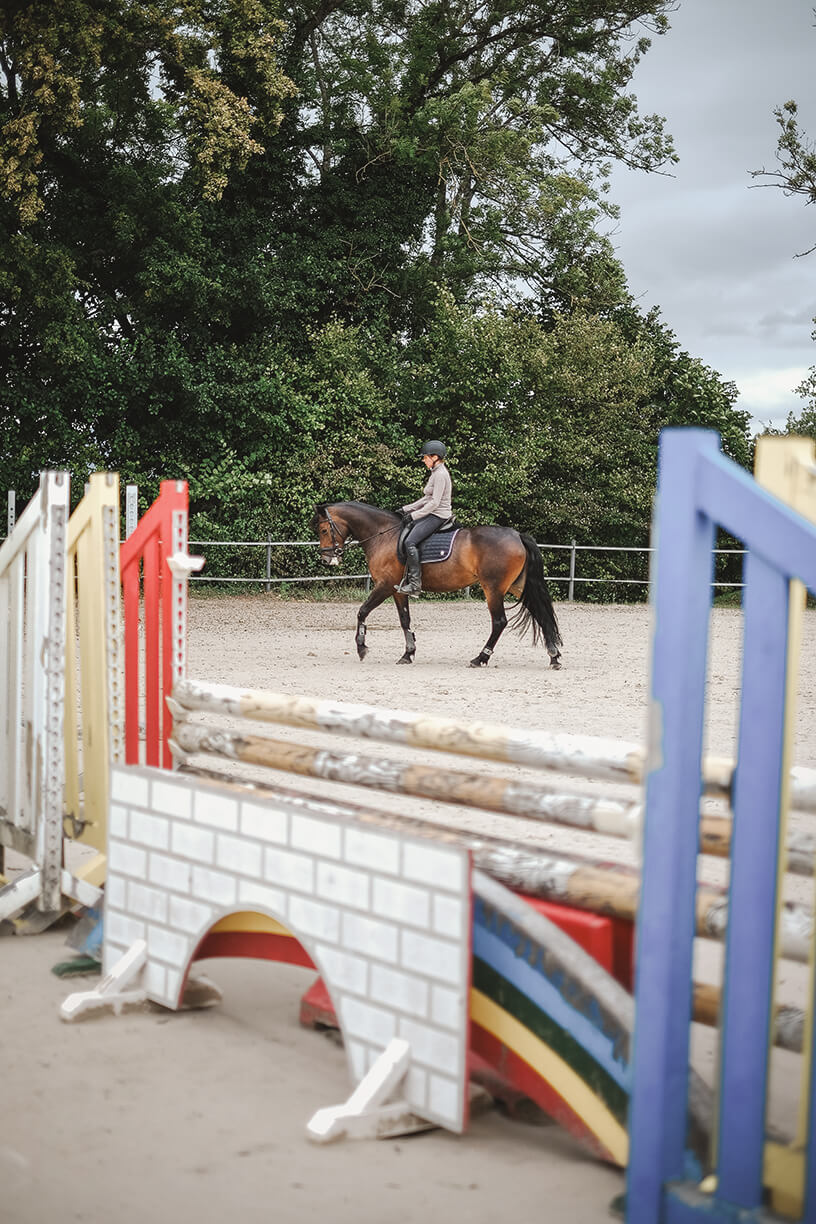 horse and rider framed by jump standards in a riding arena