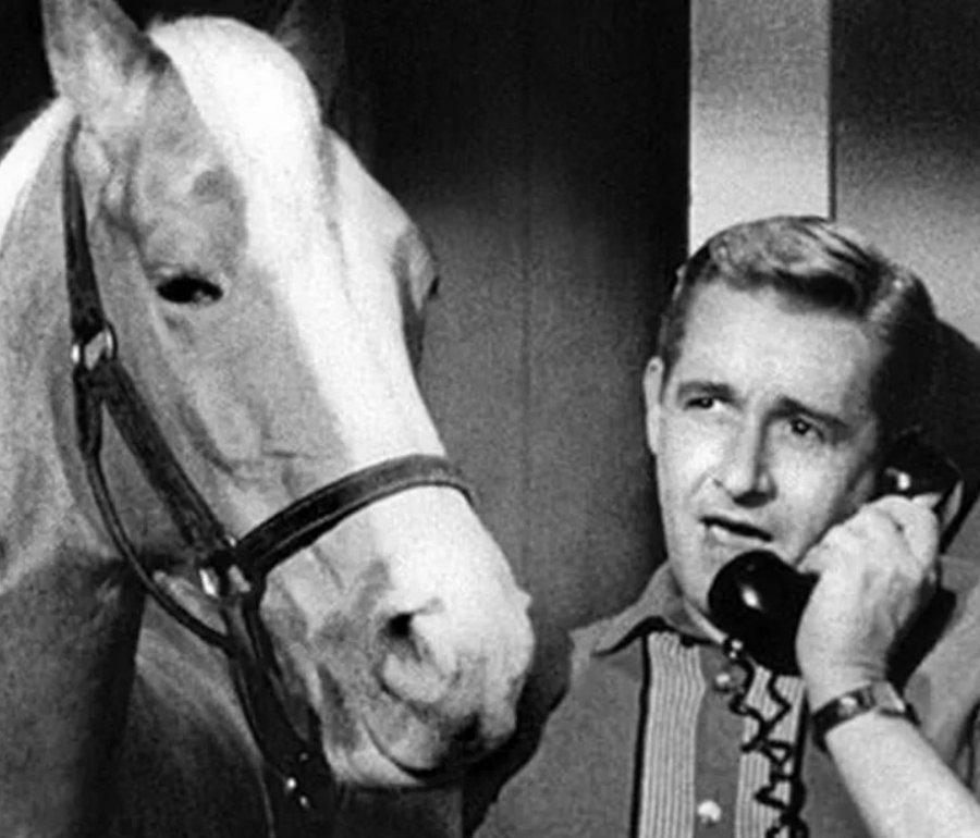 Mr Ed with actor on the 1960's sitcom