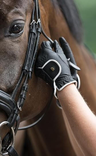 riding gloves on an equestrian as they tighten a strap on the bridle