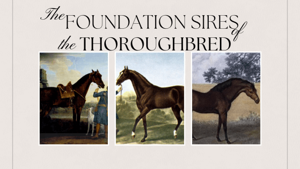 the foundation sires of the thoroughbred