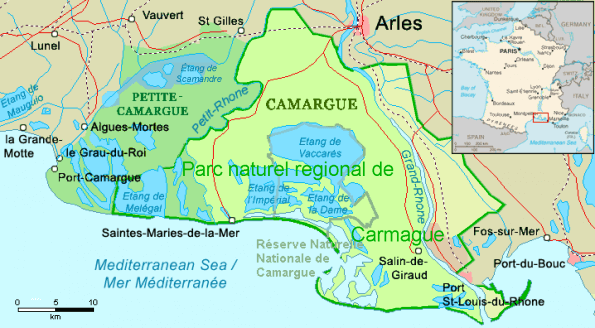 map of Camargue region of France where to find horses