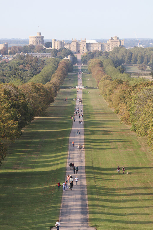 the view down the long walk in WIndsor Great Park