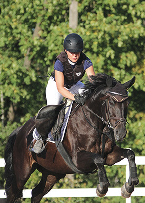 woman jumping her dark bay horse while wearing a helmet and safety vest
