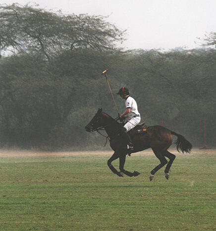 polo player on a dark bay horse riding on lawn with fog