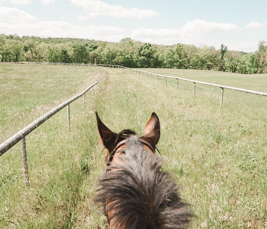 view while horseback riding of a grass field with a racetrack running through it