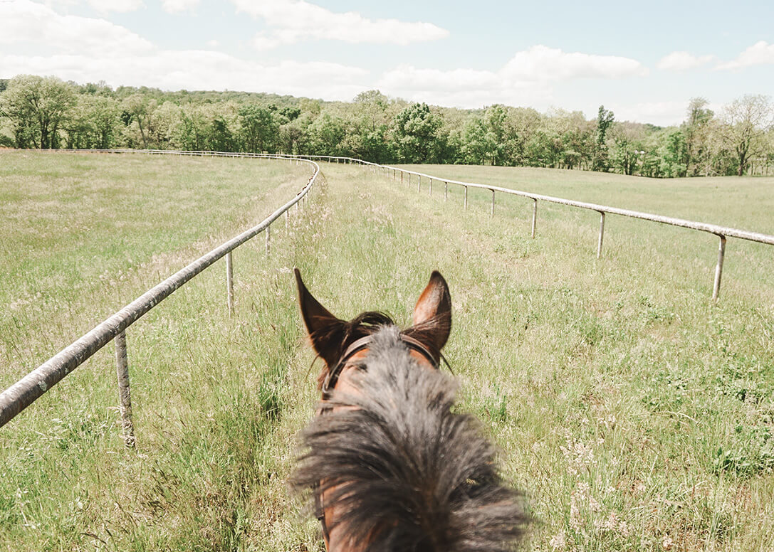view while horseback riding of a grass field with a racetrack running through it